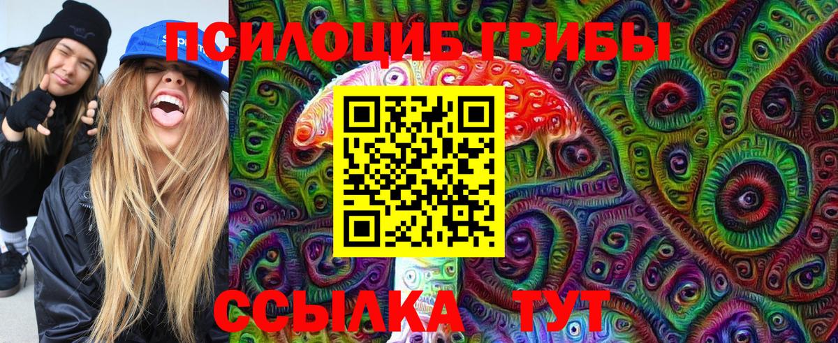 сколько стоит  Вход с VPN  Алатырь  Галлюциногенные грибы GOLDEN TEACHER 