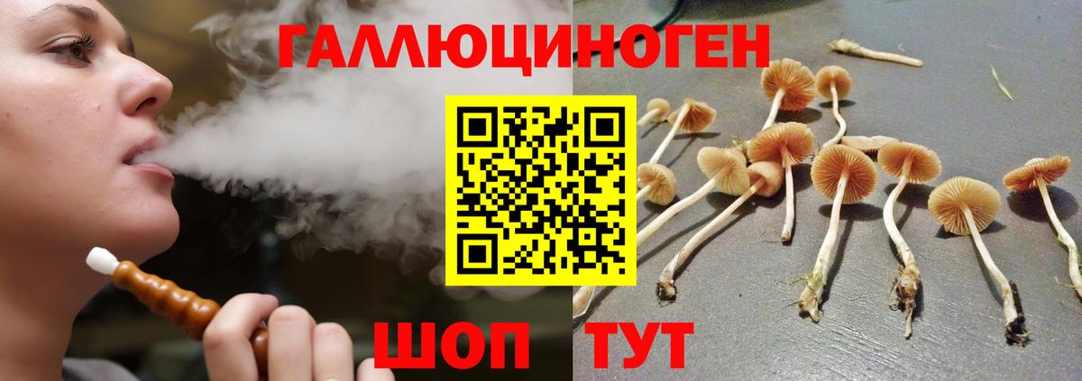 Галлюциногенные грибы Psilocybine cubensis Алатырь